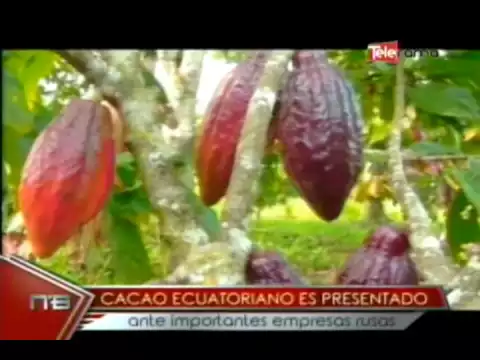 Cacao ecuatoriano es presentado ante importantes empresas rusas