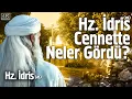 Lagu Hz. İdris (as) Peygamber'in İbretlik Hayatı - Peygamber Hayatları