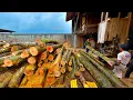 Download Lagu MULTIPLE PROFITS! The Amazing Sawmill Operator Saws Wadang Wood with Accurate Speed.