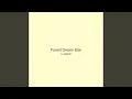 Forest Dream Star