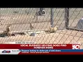 Ruben on the Road Amarillo business helping dogs find forever homes