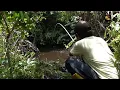 Download Lagu Gileee!!! Gacor banget spot mancing dirawa ini #SG-441
