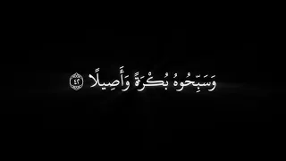 وكان الله بكل شيء عليما   ياسر الدوسري خلفية سوداء   كرومات قران كريم بصوت ياسر الدوسري دندنها