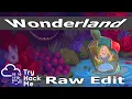 Wonderland - Road to Top 50 TryHackMe Raw Edits
