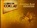 RCTI Djarum Coklat 00 34