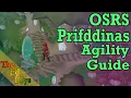 OSRS Priffdinas Agility Guide Prif Agility Guide Add on