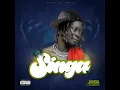Download Lagu janda - singa