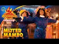MIJTER MAMBO - KADO (2025) • VIDEOCLIP uit  🎞 De Club van Sinterklaas film: Een Dolle Beestenboel