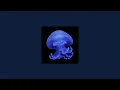 Download Lagu Champagne Coast- Blood Orange | Instrumental Part |  1 hour loop💙🦋