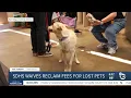 SD Humane Society waives reclaim fees for lost pets
