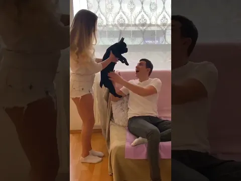 🐶🐶🐶