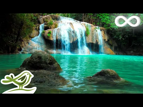 Download MP3 Relaxing Zen Music with Water Sounds • Peaceful Ambience for Spa, Yoga and Relaxation