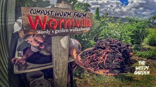 From Scraps to Soil Gold Unlocking the Secrets of a Compost Worm Farm Worm Farming For Compost