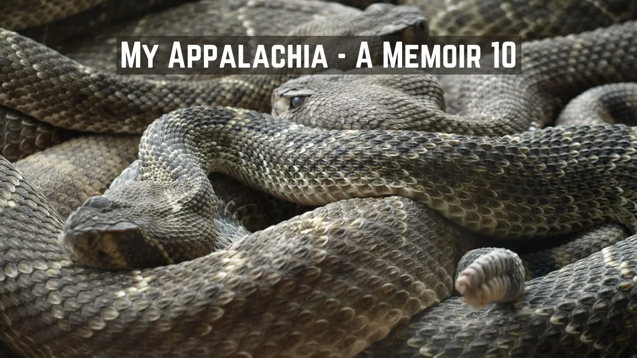 My Appalachia, A Memoir - Snake Handling and Speaking in Tongues
