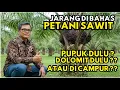 Lagu Jarang Diungkap ! Strategi Pemupukan Sawit yang Lebih Efisien