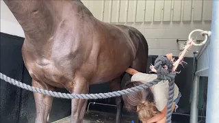 sheath cleaning how to do it