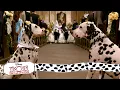 Download Lagu Wedding Bells | (5/15) Movie Scenes | 101 Dalmatians (1996) HD