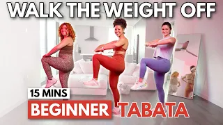 Download 15 Min Lower Belly Tabata Fat Burn For Beginners | Do this Everyday to Lose Weight MP3