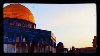 الأقصى وصية الرسول فرقة الوعد    دندنها