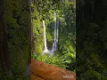 Download Lagu Hanging between heaven and the jungle at Sekumpul — 💚🫶📍Hanging Restaurant, Sekumpul, Bali 🇮🇩