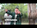 Umlabalaba - Bayaphumelela (Promo Visualizer)
