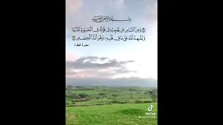 حالات واتس دينية تك توك 
