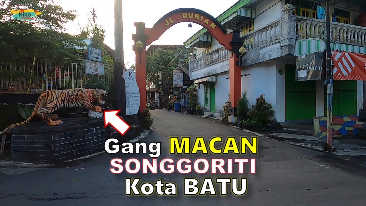
          
          
          
            
            Gang MACAN SONGGORITI Lagi !!! Lokasi Villa Murah di Kota BATU
          
        . 