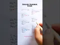 Learn English Grammar Rules