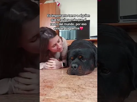 Nothing Is Stronger Than My Bond With My Rottweiler 🐾❤️