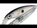 Lurebuild Colorshift Paints and Whitmore Farm Stencils Transparent Shad