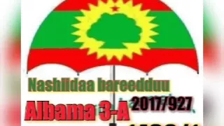 Shekh Abdoosh Aliyyii 3 A Nashiidaa Bareedduu Gorsa Ajaaibaa If Keeysaa Qabdu 