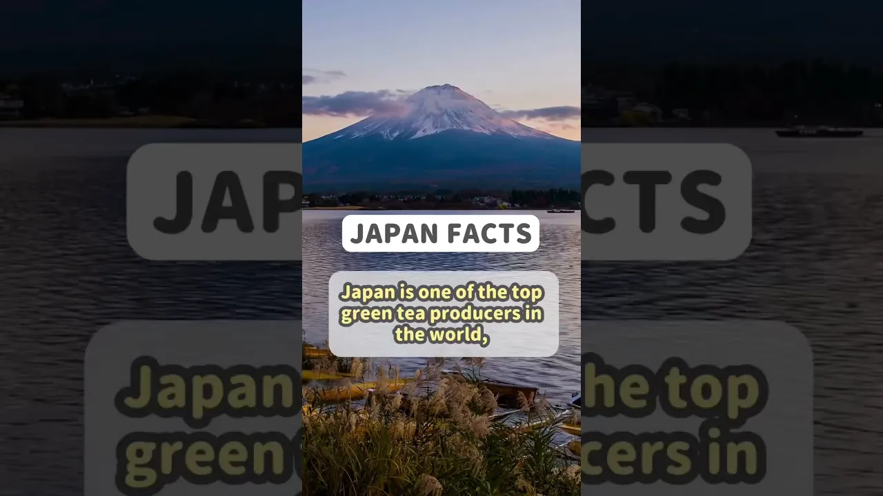 Discover the Hidden Truth About Japan