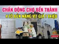 Download Lagu 4 TÔ BÚN VỊT 1 TRIỆU ĐỒNG | CHỢ BẾN THÀNH LẠI KHIẾN CỘNG ĐỒNG MẠNG DẬY SÓNG!