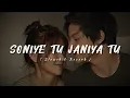 Lagu Soniye Tu Janiya Tu 🌸❤️ | Khokababu | Bengali lofi song ✨ | Slowed \u0026 Reverb Song..