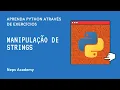 Aprenda Python Atraves de Exercicios - Aula 19