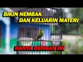 Download Lagu PANCINGAN PLECI CEPAT NEMBAK DAN KELUARKAN MATERI