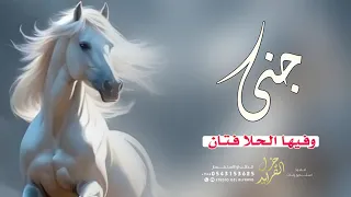 شيلة باسم جنى جديده 2024 جنى وفيها الحلا فتان شيله مدح باسم جنى 