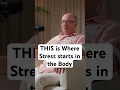 DIT is waar stress in het lichaam begint