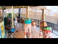 Lagu Akron Zoo Carousel