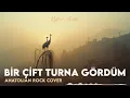 I Saw a Pair of Cranes | Anatolian Rock Cover | Psychedelic Folk Rock
