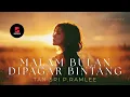 Tan Sri P. Ramlee • Malam Bulan Di Pagar Bintang (Psychedelic Dream Rock Cover by TiaraOnTV)