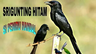 Download SRIGUNTING HITAM FULL ISIAN || ISIAN MURAI DAN CAK IJO MP3