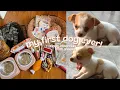 my first dog ever chihuahua puppy essentials from shopee philippines