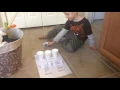 Mystery Science Forces-Pushes and Pulls