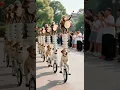 Download Lagu Dogs new funny video #cutecreations #funny #funnyanimals #creativecreation #cute #animals #funnypets