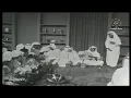 جفني لطيف الكرى غريد الشاطئ