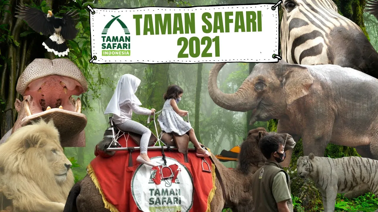 TAMAN SAFARI BOGOR TERKINI 2021 || Wisata Cisarua Puncak Bogor