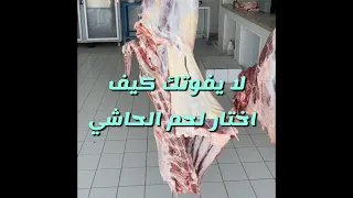 شرح مفصل اجزاء لحم الحاشي وكيف تختار اللحم الطيب من سناب ابو مشاري 