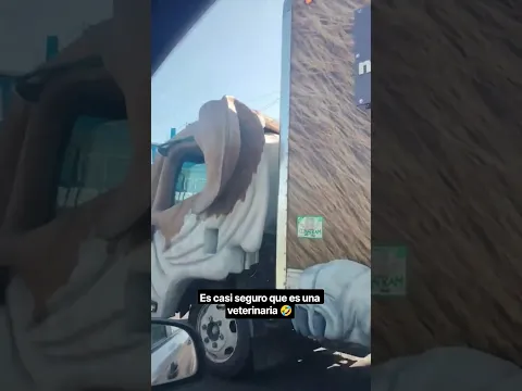 🤣México mágico 😂🐕#shorts #viral #fyp #mexico #memes #humor