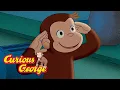 Curious George 🐵 What are the 5 senses? 🐵 Kids Cartoon 🐵 Kids Movies 🐵 Videos for Kids